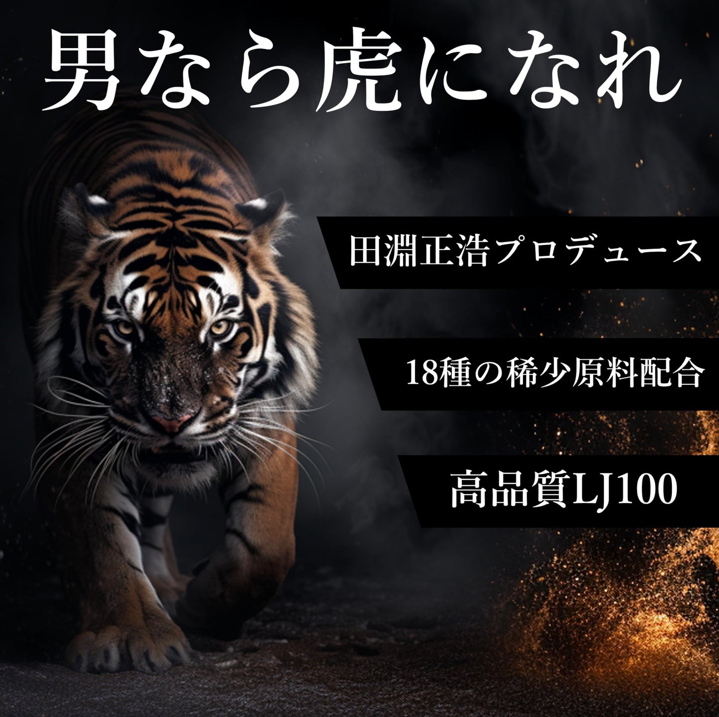 TORA MENTAL