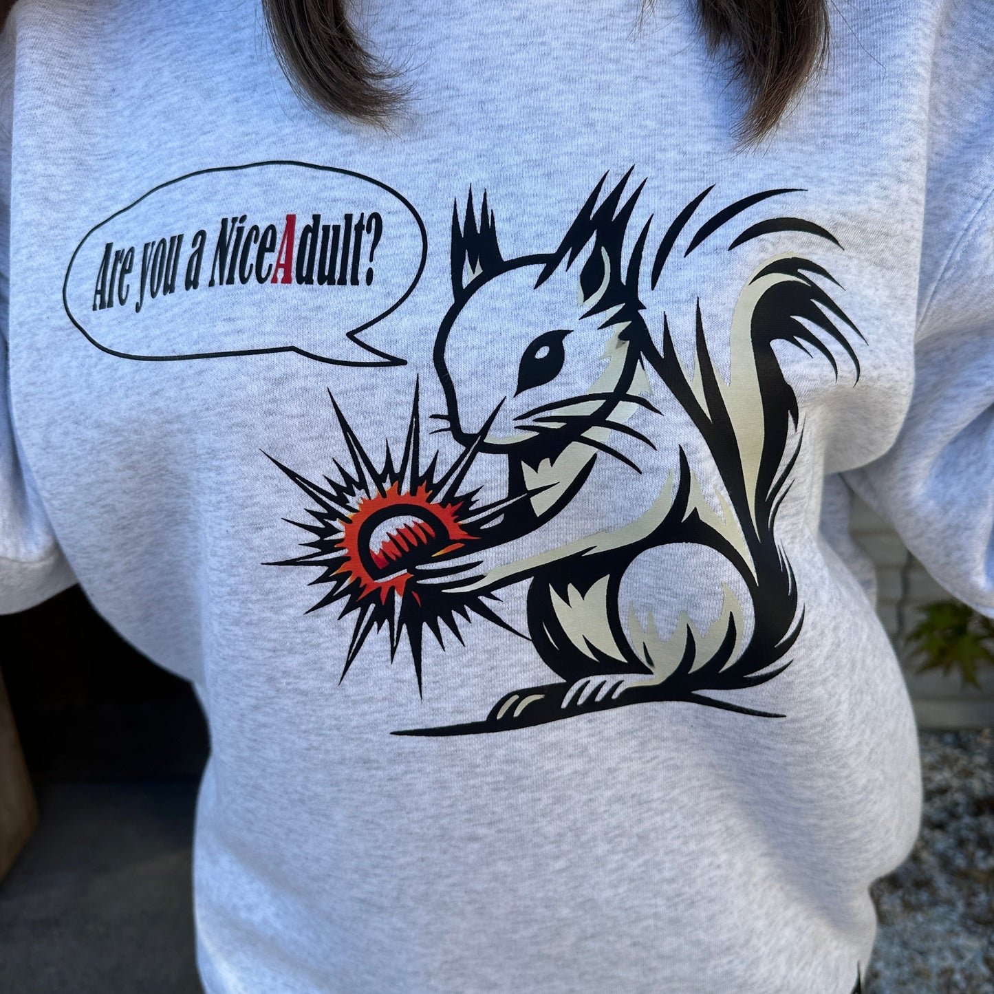 C&Squirrel_Sweatshirt