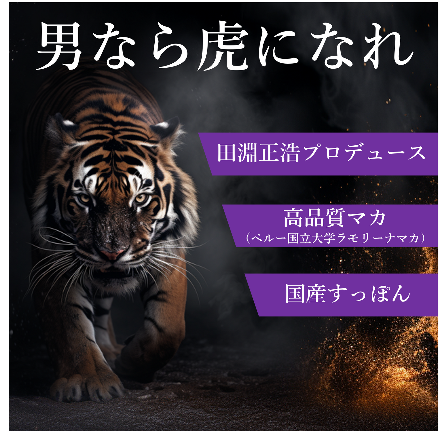 BASE TIGER