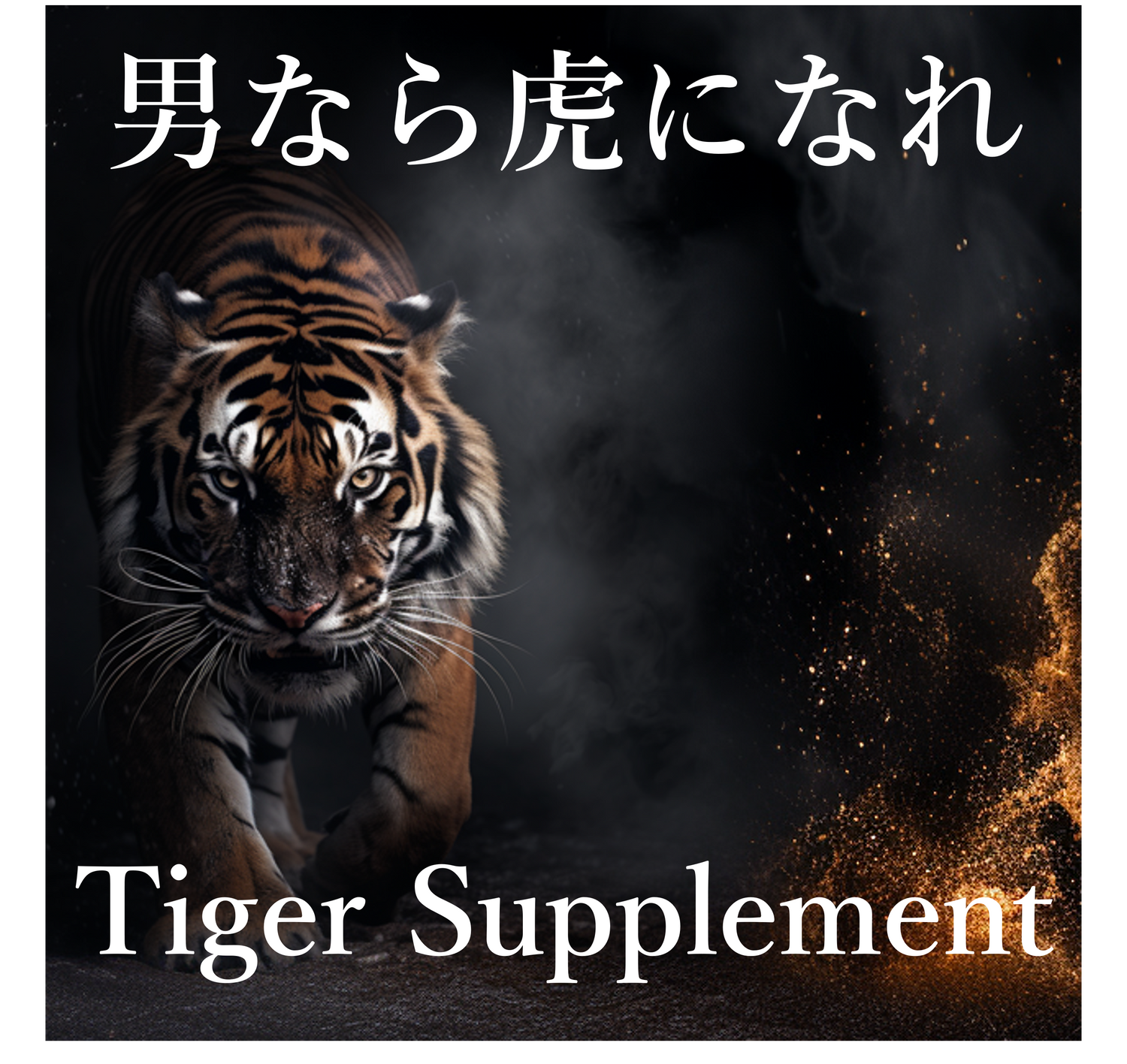 Tiger Supplement